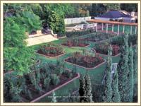 Summer Place - A experience to remember