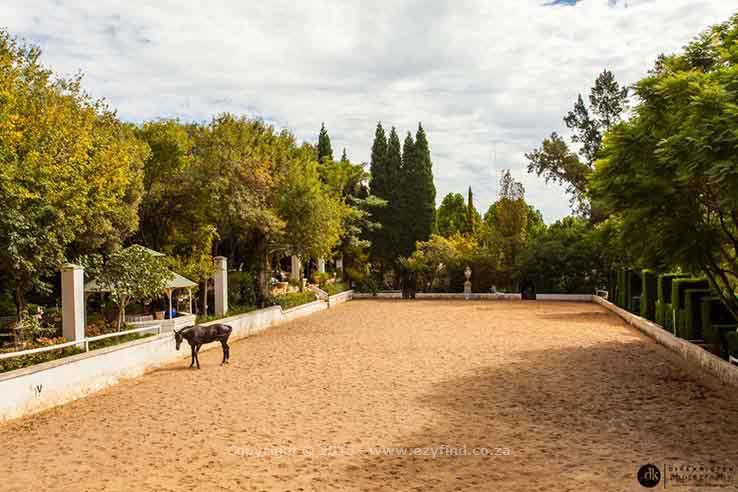 The Country charm of Pheasant Hill