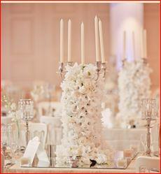 Extrodinary Flower Power