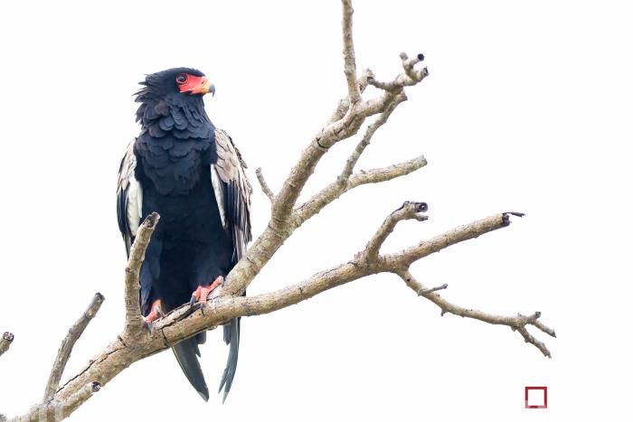 Spectacular Photography