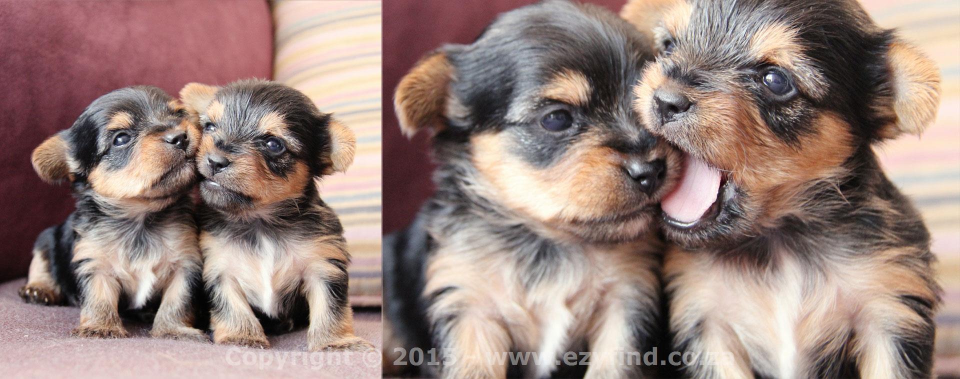 Artistically Picturesque