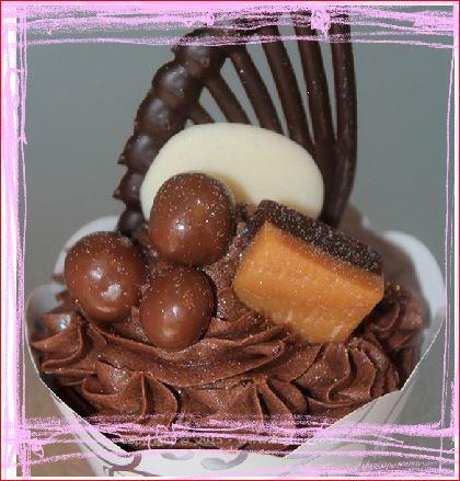 Scrumptious Gourmet Cupcakes