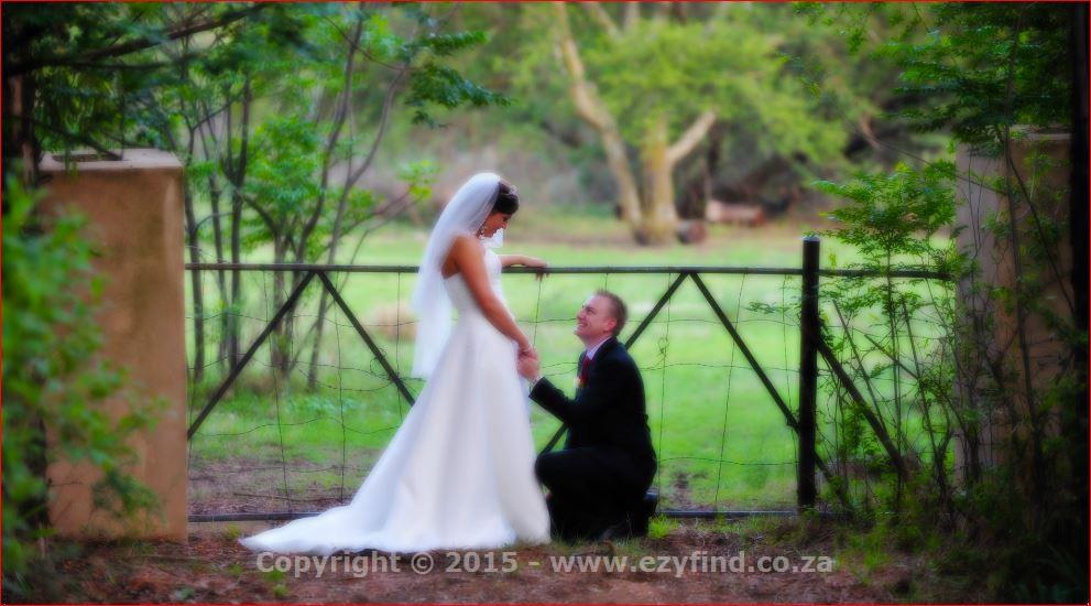 Award Winning Photographer