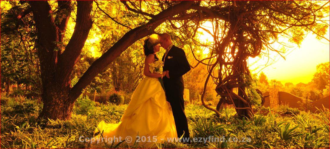 Award Winning Photographer