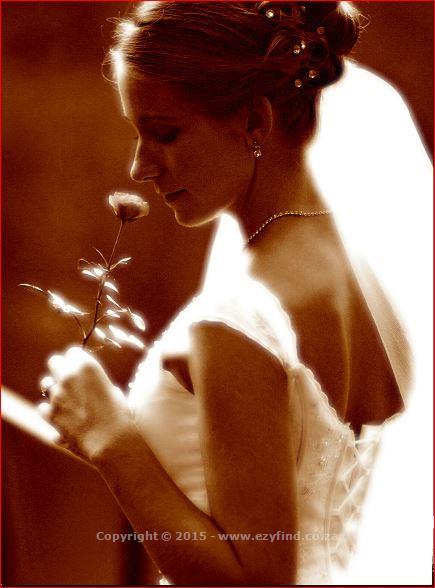 Award Winning Photographer