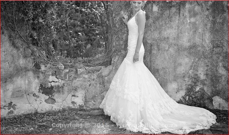 Creative Photography