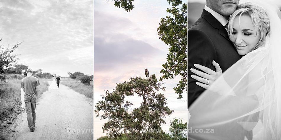 Internationally acclaimed Photographer