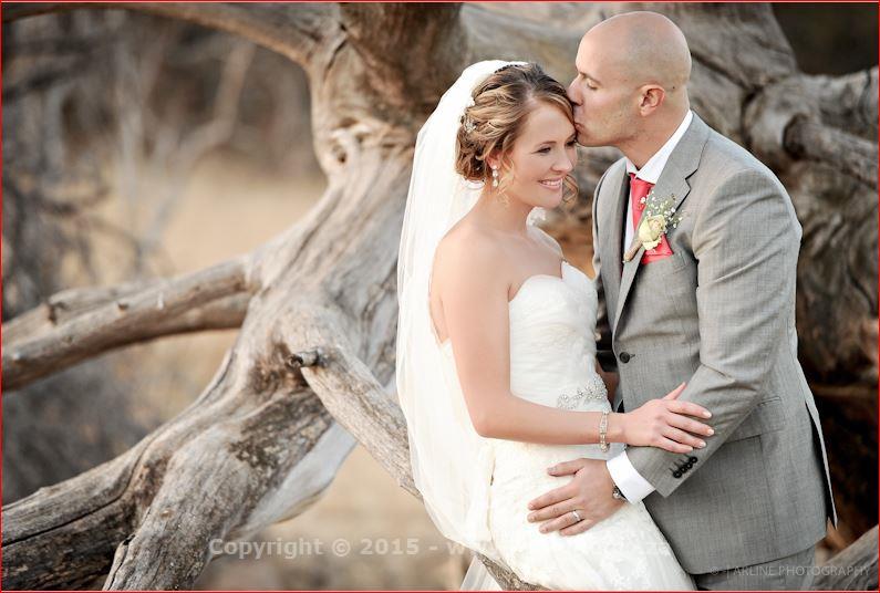 Elegantly capturing your special moments