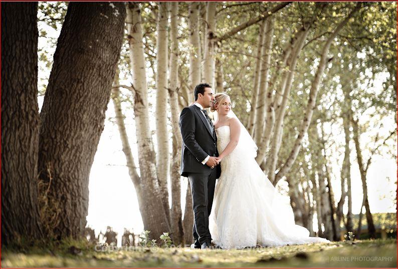 Elegantly capturing your special moments