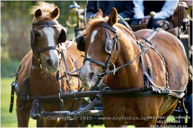 A venue of distinction