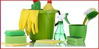 Professional Cleaning
