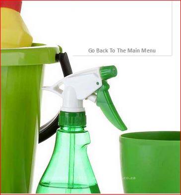 Professional Cleaning