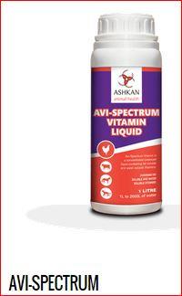 Innovative Animal Health