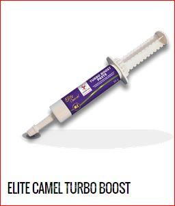 Innovative Animal Health