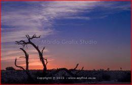 Passionate Design and Creativity