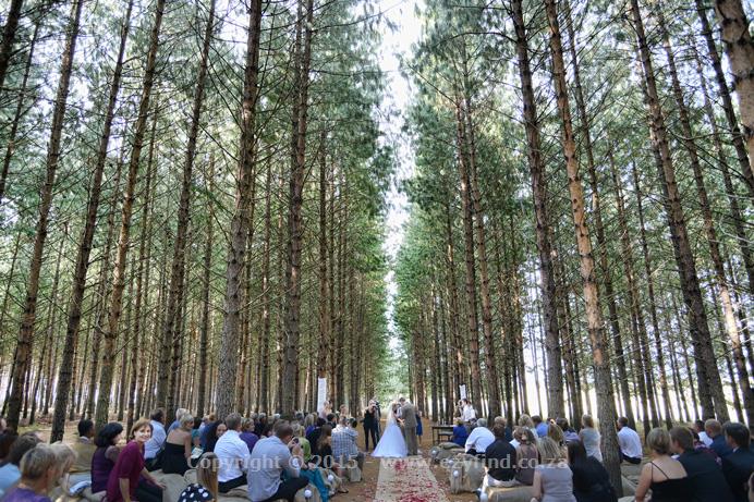 International Award Winning Photographers