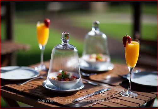 On the Edge of the Cradle of Mankind