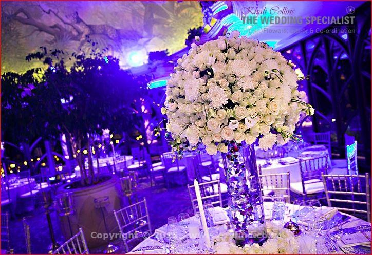 Wedding Planning Professional