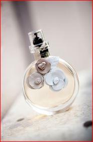 Creating Lecacies with Novello