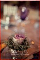 Creating Lecacies with Novello