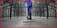 Professional Cleaning