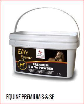 Innovative Animal Health