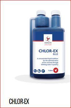 Innovative Animal Health